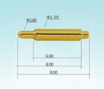 Double head spring loaded pin