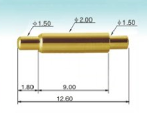 Double head spring loaded pin